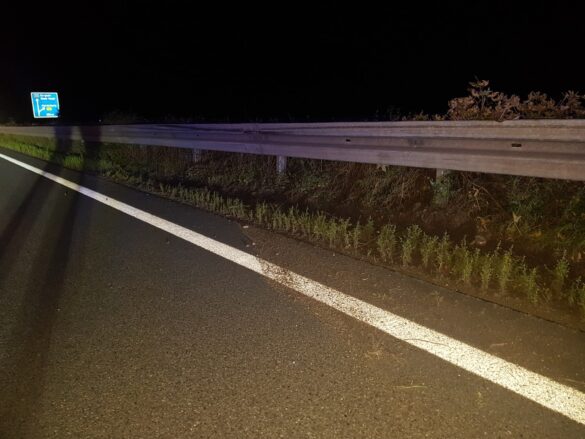 2021-09-20_Unfall-Falschfahrer-Autobahn-A33-Osnabrueck-014 Unfall mit Falschfahrer auf der Autobahn A33 bei Osnabrück