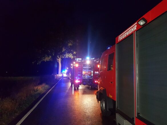 Auto prallt in Melle frontal gegen Baum