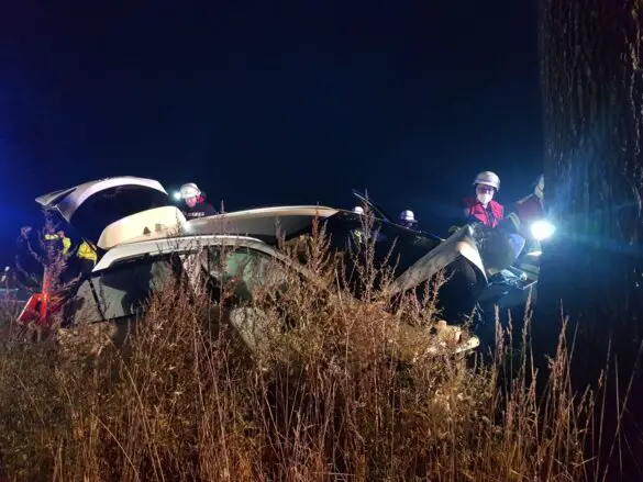 Auto prallt in Melle frontal gegen Baum