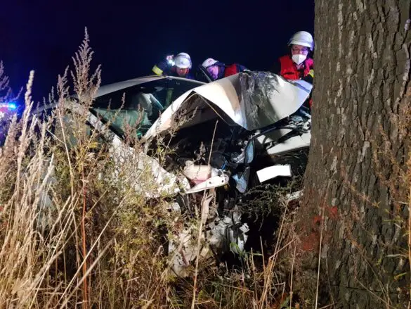 Auto prallt in Melle frontal gegen Baum