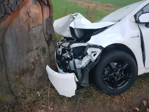 Auto prallt in Melle frontal gegen Baum