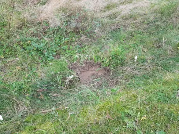Motorradfahrer kommt von Landstraße in Bissendorf ab