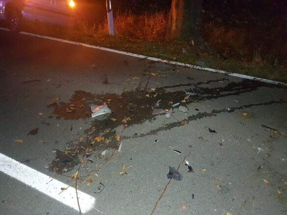 Leicht-KFZ fährt in Melle gegen Baum