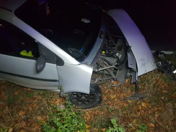 Leicht-KFZ fährt in Melle gegen Baum