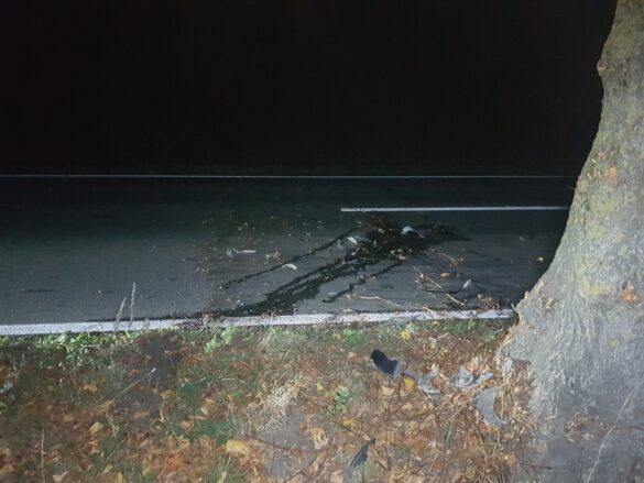 Leicht-KFZ fährt in Melle gegen Baum