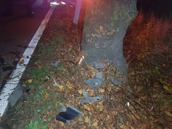 Leicht-KFZ fährt in Melle gegen Baum