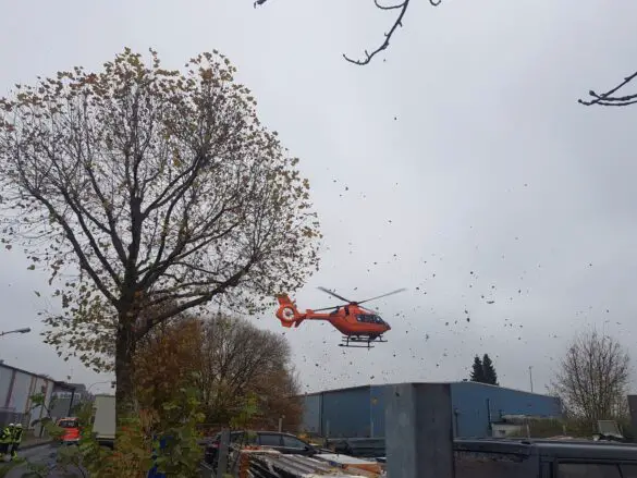 Automatisch gespeicherter Entwurf Automatisch gespeicherter Entwurf