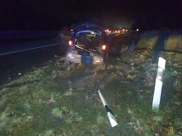 Smart im Grünstreifen