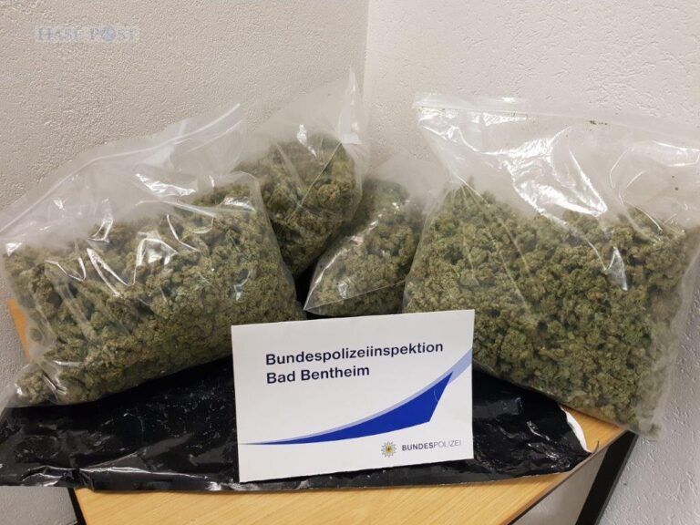Automatisch gespeicherter Entwurf
