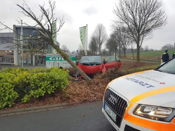 Missglücktes Ausweichmanöver: PKW fährt in Hecke gegen Baum