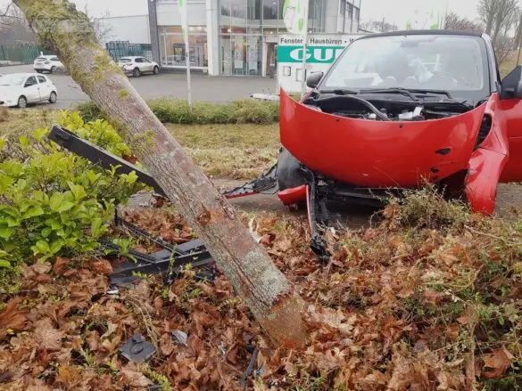 Missglücktes Ausweichmanöver: PKW fährt in Hecke gegen Baum