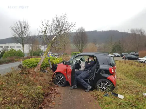 Missglücktes Ausweichmanöver: PKW fährt in Hecke gegen Baum