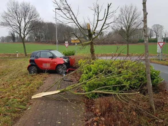 Missglücktes Ausweichmanöver: PKW fährt in Hecke gegen Baum