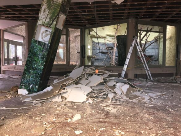 Neuer Lebensraum für Trampeltiere, Rote Pandas und Schopfhirsche Neuer Lebensraum für Trampeltiere, Rote Pandas und Schopfhirsche