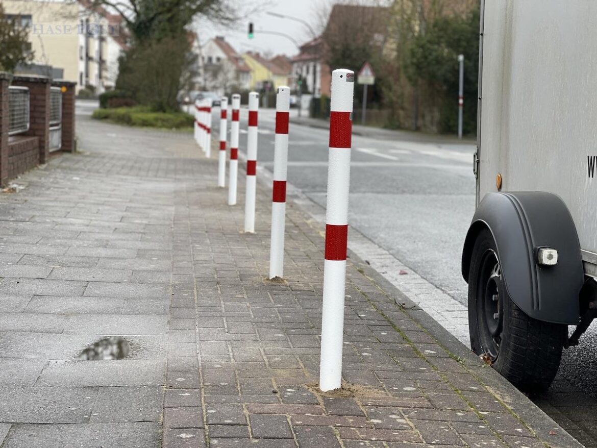 Dutzende Poller blockieren den Radweg. / Foto: Pohlmann