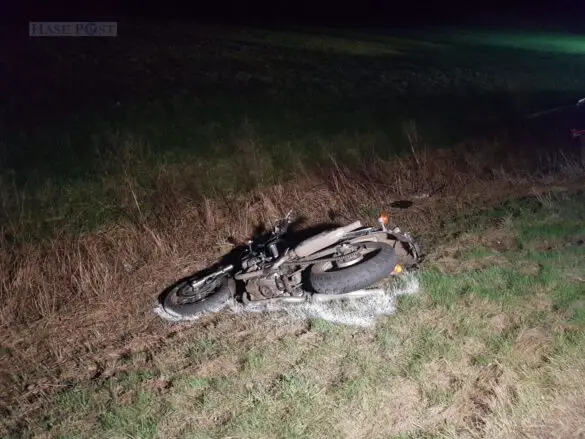 PKW-Fahrer stirbt bei Unfall, Beifahrerin wird stark eingeklemmt