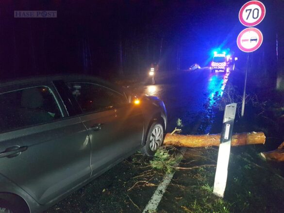 Unfälle im Sturm – Zwei Autos prallen gegen Baumstamm in Belm Unfälle im Sturm – Zwei Autos prallen gegen Baumstamm in Belm