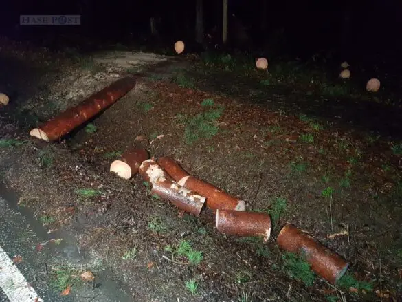 Unfälle im Sturm – Zwei Autos prallen gegen Baumstamm in Belm Unfälle im Sturm – Zwei Autos prallen gegen Baumstamm in Belm