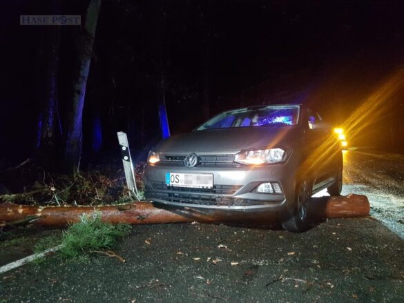 Unfälle im Sturm – Zwei Autos prallen gegen Baumstamm in Belm Unfälle im Sturm – Zwei Autos prallen gegen Baumstamm in Belm
