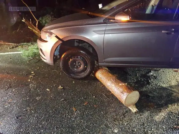 Unfälle im Sturm – Zwei Autos prallen gegen Baumstamm in Belm Unfälle im Sturm – Zwei Autos prallen gegen Baumstamm in Belm