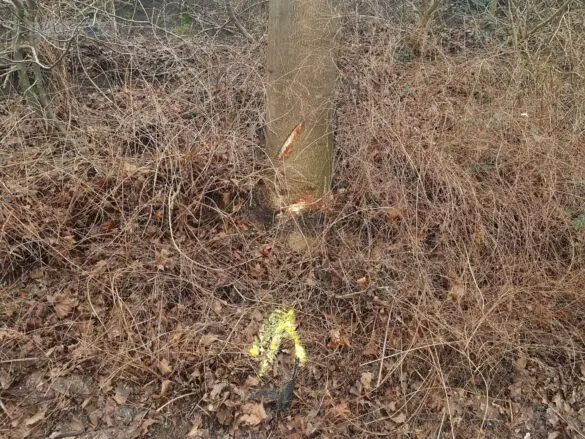PKW überschlägt sich in Melle PKW überschlägt sich in Melle