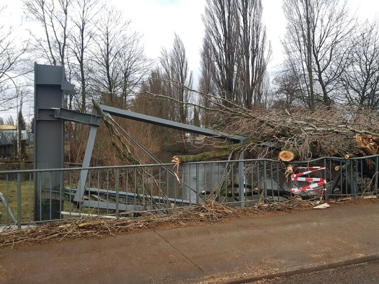 Die durch den Baum zerstörte Brücke