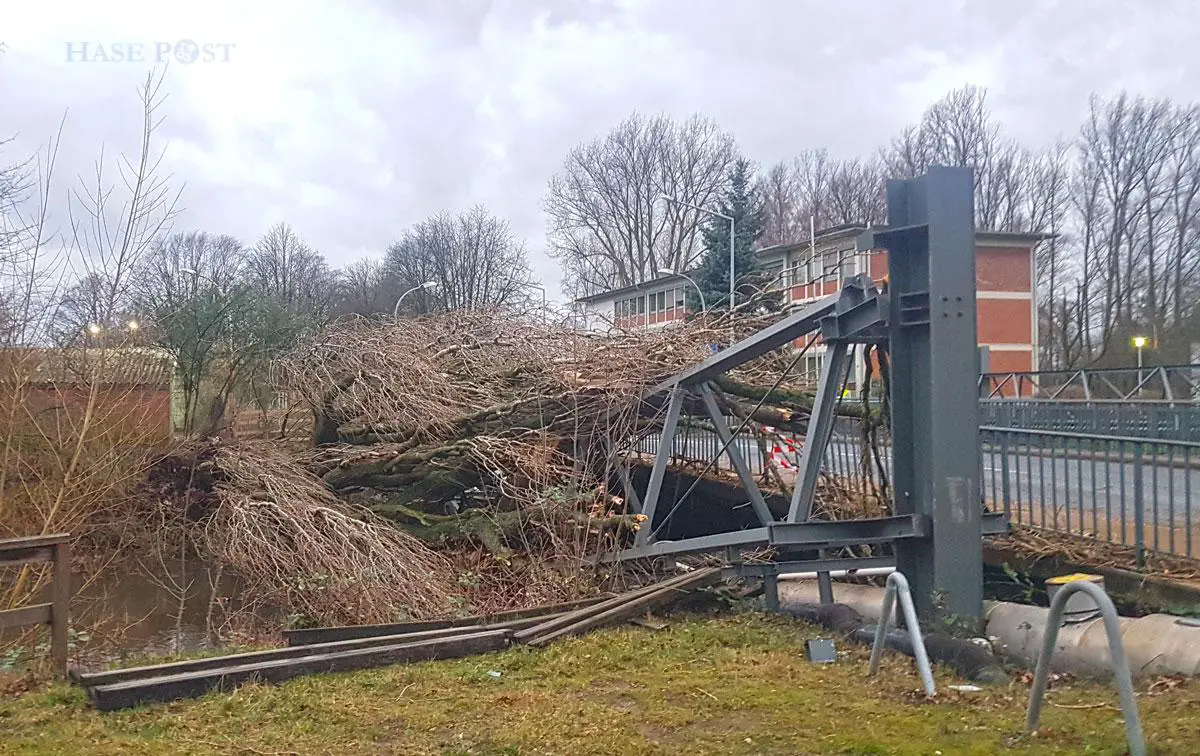 Defektes Wasserrohr an der Römereschstraße (Foto: Westermann)