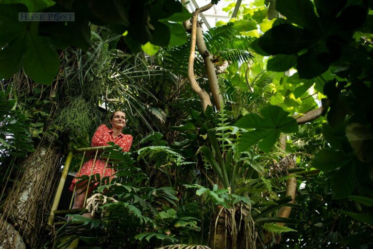 Das Regenwaldhaus im Botanischen Garten der Universität Osnabrück ist ab April 2022 wieder für Besuche geöffnet. / Foto: David Ebener