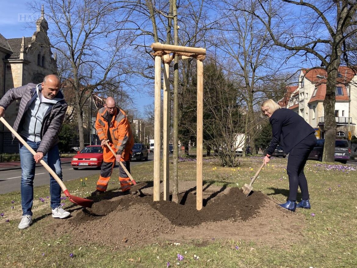 Oberbürgermeisterin Katharina Pötter pflanzt ersten von 100 Bäumen