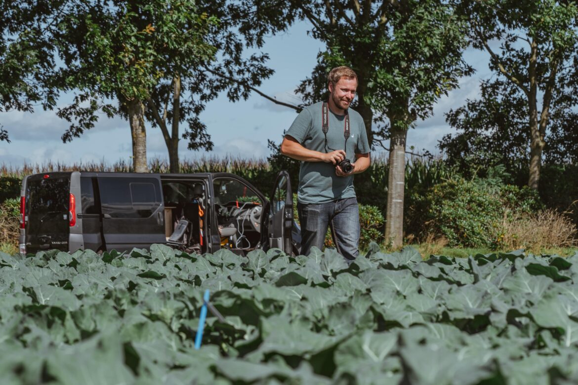 Automatisch gespeicherter Entwurf