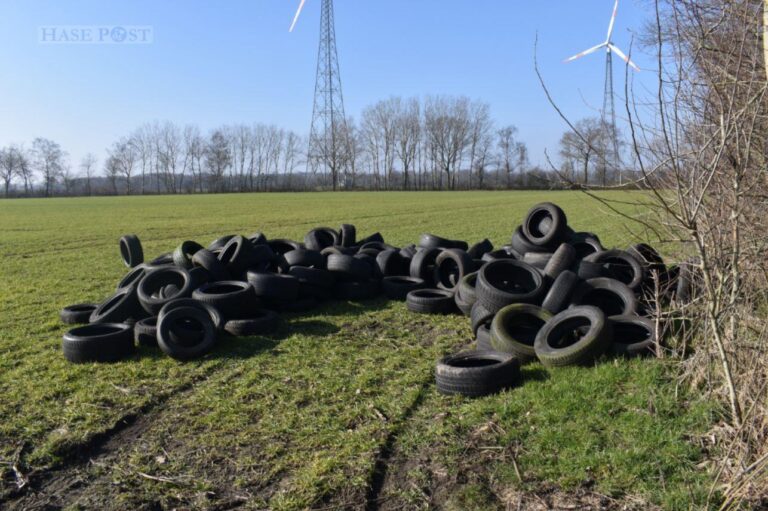 Die entsorgten Altreifen bei Voltlage. / Foto: Polizeiinspektion Osnabrück