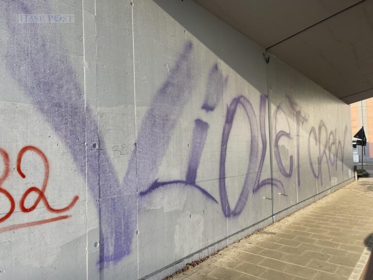 Graffiti der Violet Crew an der Bahnunterführung An der Petersburg/Pottgraben, Osnabrück