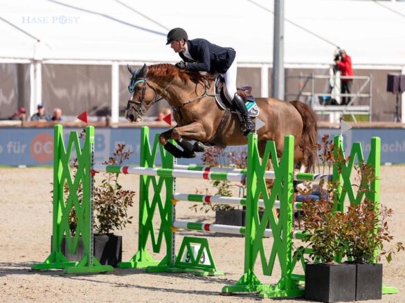 Horses and Dreams / Foto: Dieter Reinhard