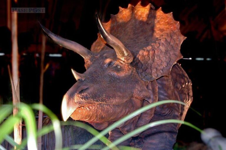 Modell eines Triceratops / Foto: PR Wagner Medienkommunikation