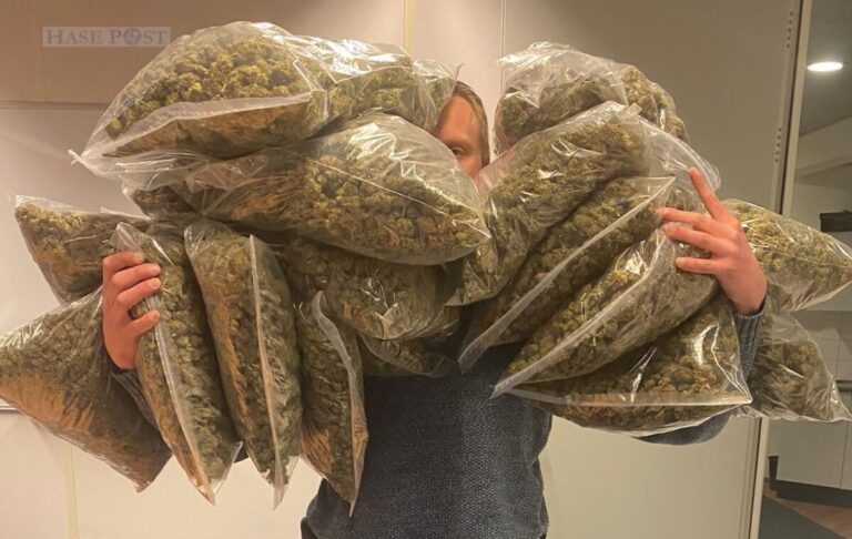 Fund der Niederländischen Polizei: 25 Kilogramm Marihuana / Foto: Polizei Osnabrück