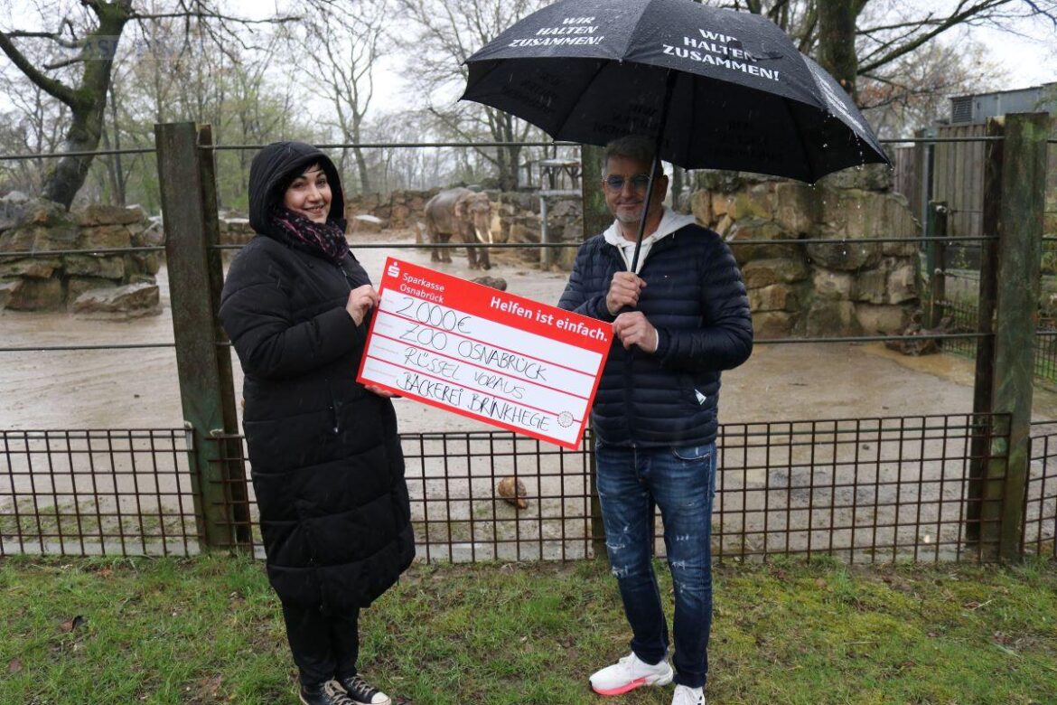 Die Spende für „Rüssel voraus!“ zugunsten eines größeren Elefantenparks nimmt John McGurk, dankend von Wiebke Schwegmann, entgegen. / Foto: Zoo Osnabrück (Lisa Simon)