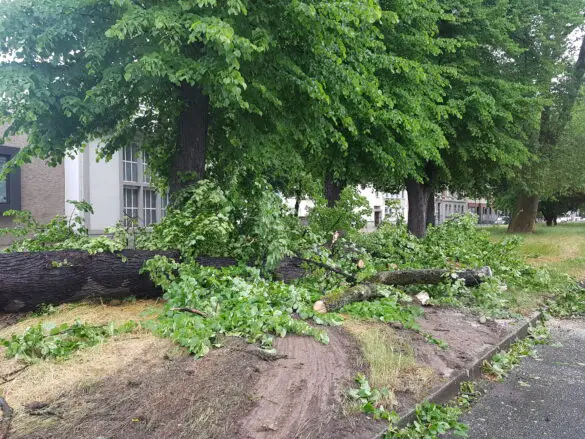 Feuerwehreinsatz am 19. Mai / Foto: Westermann