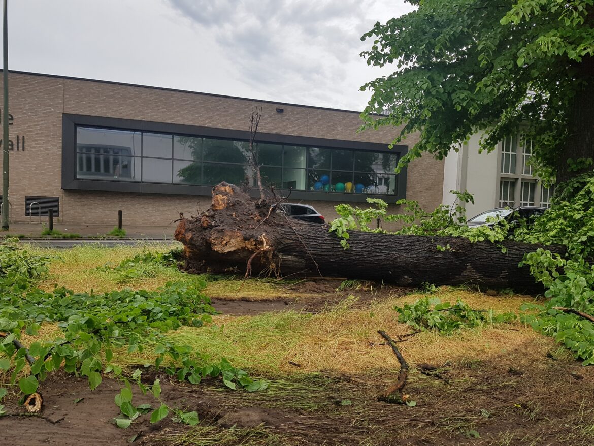 Feuerwehreinsatz am 19. Mai / Foto: Westermann