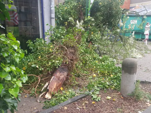 Feuerwehreinsatz am 19. Mai / Foto: Westermann
