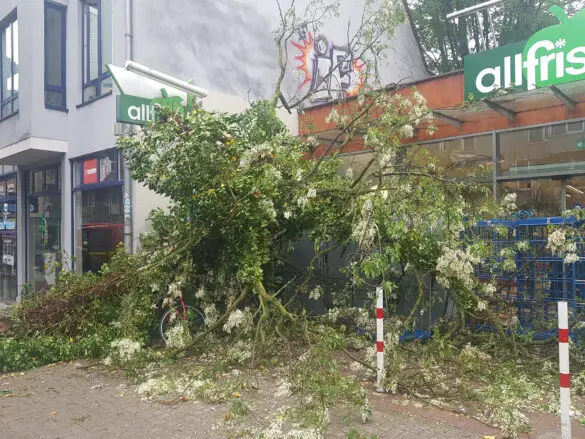 Feuerwehreinsatz am 19. Mai / Foto: Westermann