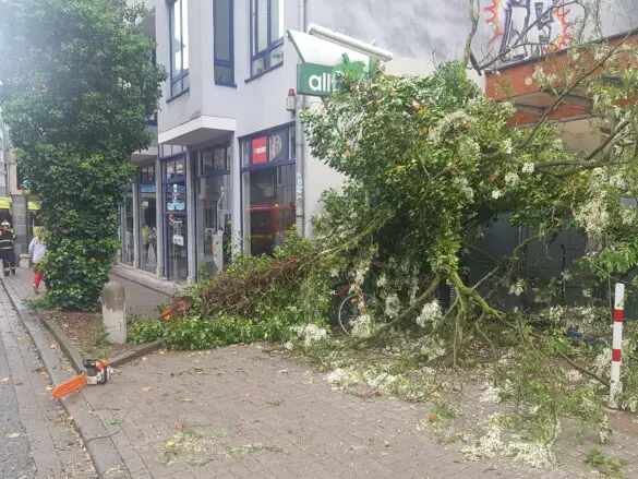 Feuerwehreinsatz am 19. Mai / Foto: Westermann