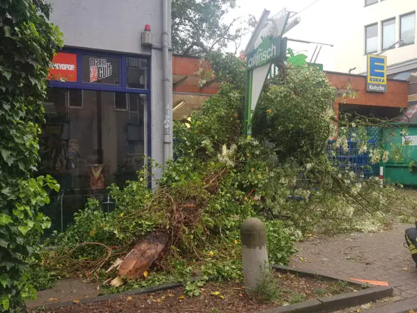 Feuerwehreinsatz am 19. Mai / Foto: Westermann