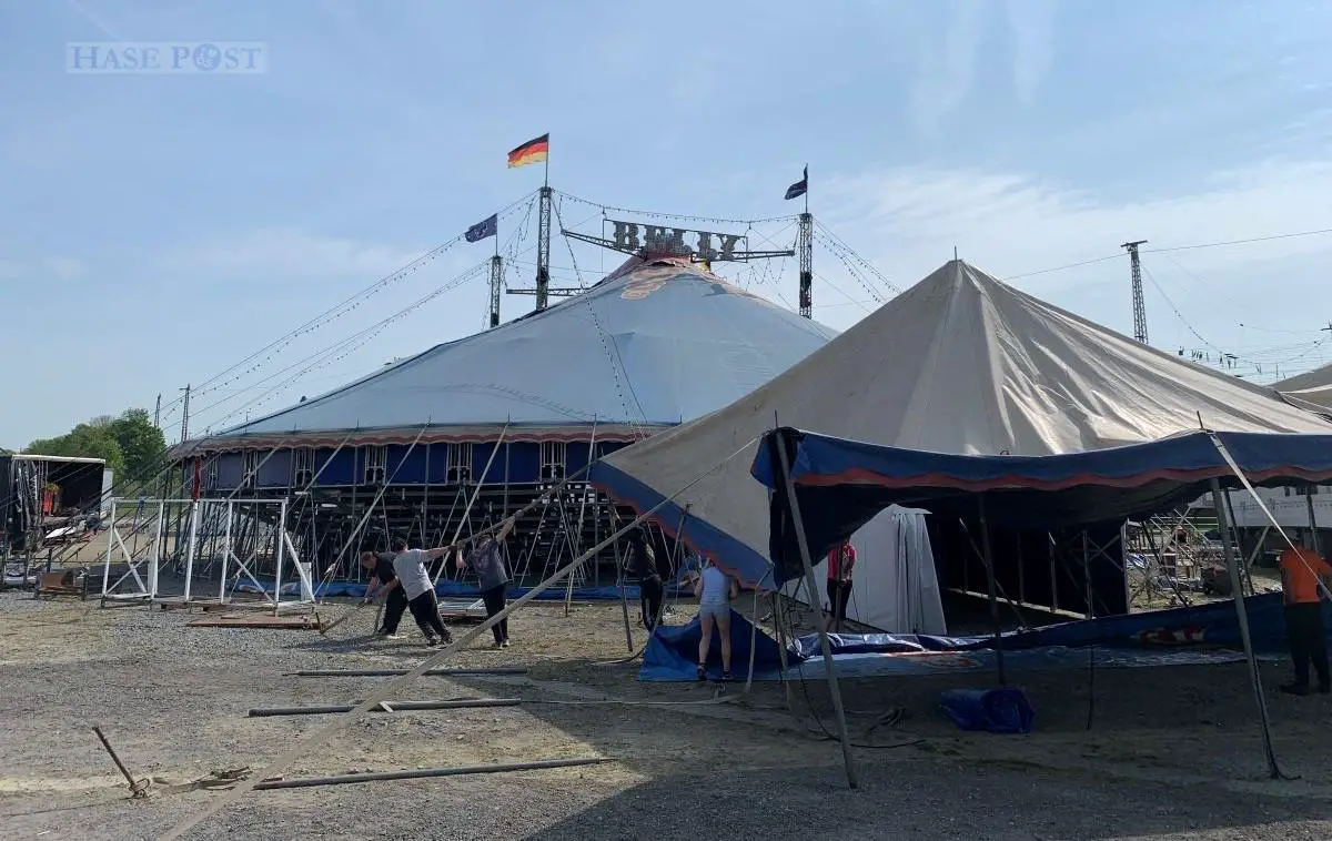 Circus Belly an der Halle Gartlage / Foto: Stanehl