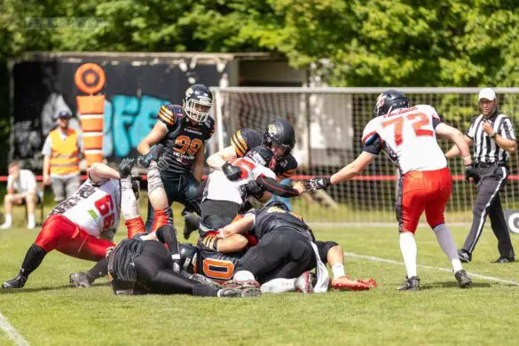 OSC Osnabrück-Tigers gegen die Firebirds aus Bremen / Foto: Reinhardt