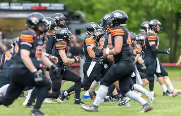 OSC Osnabrück-Tigers gegen die Firebirds aus Bremen / Foto: Reinhardt