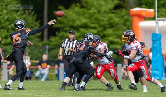 OSC Osnabrück-Tigers gegen die Firebirds aus Bremen / Foto: Reinhardt