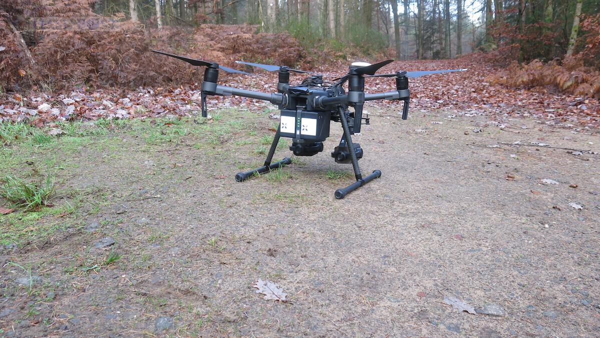 Rehe sollen mit einem störungsarmen Verfahren mit Drohnen und Wärmebildkameras gezählt werden. / Foto: FAWF/Landesforsten RLP