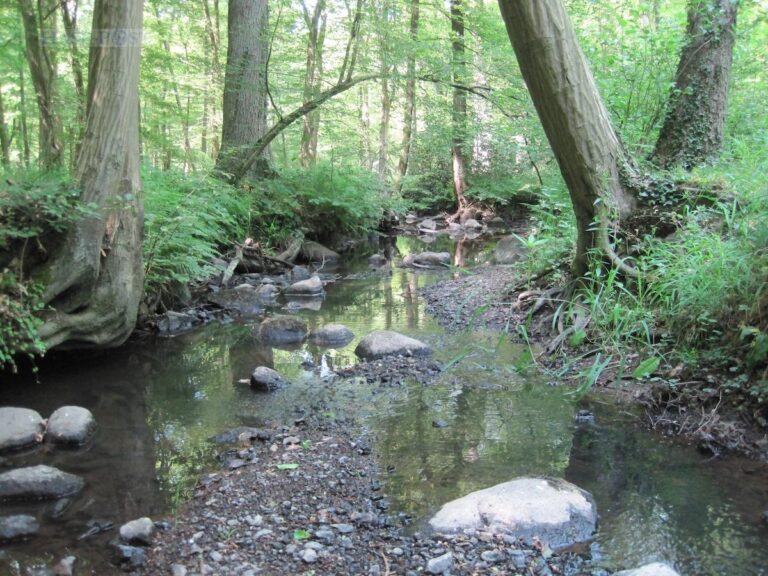 Niedriger Pegelstand: Die Fließgewässer im Osnabrücker Land wie die Nette zeigen den aktuellen Wassermangel deutlich. / Foto: Landkreis Osnabrück