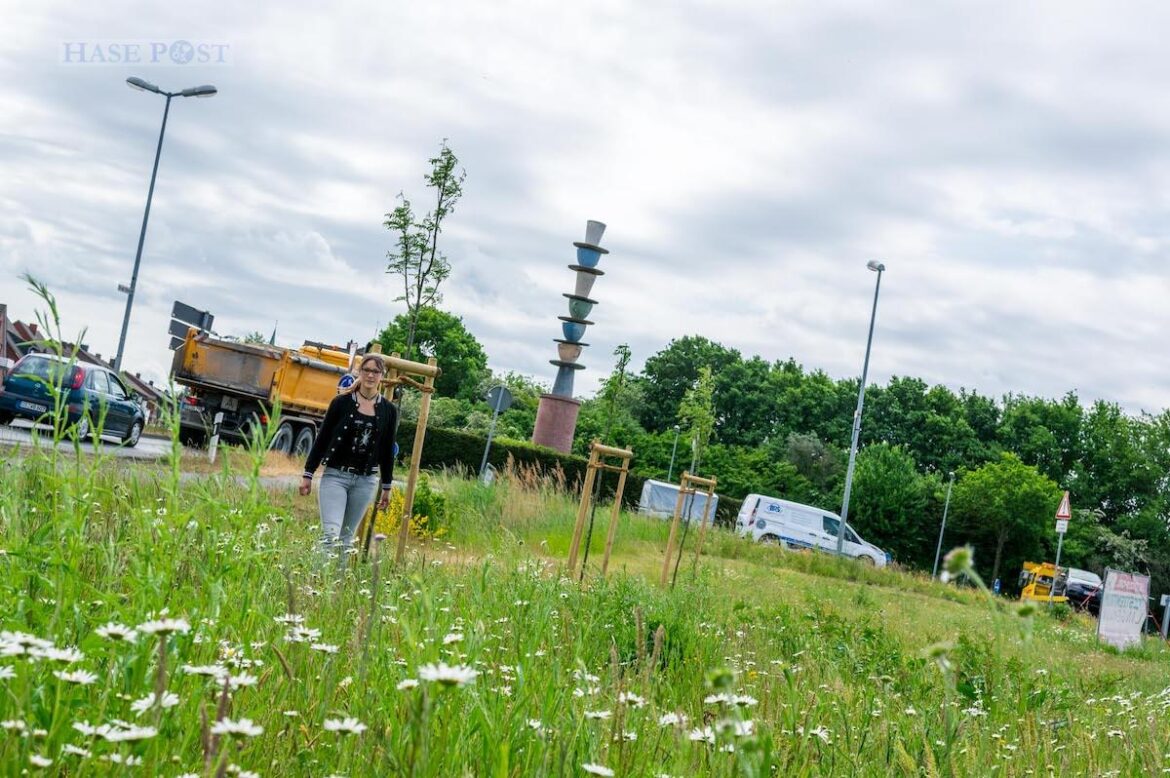 Wallenhorsts Umweltbeauftragte Isabella Markfort erkundet die Blühfläche am Tassenkreisel, die in den vergangenen zwei Jahren aufgebaut wurde.