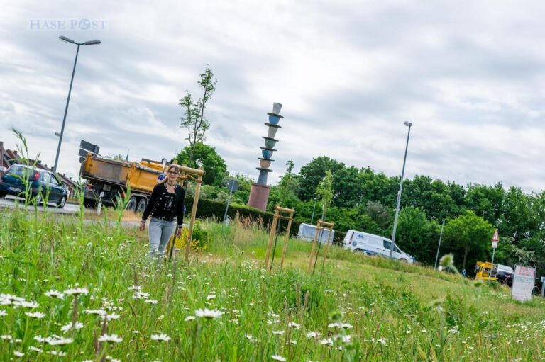 Wallenhorsts Umweltbeauftragte Isabella Markfort erkundet die Blühfläche am Tassenkreisel, die in den vergangenen zwei Jahren aufgebaut wurde.
